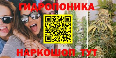 трава Усть-Джегута