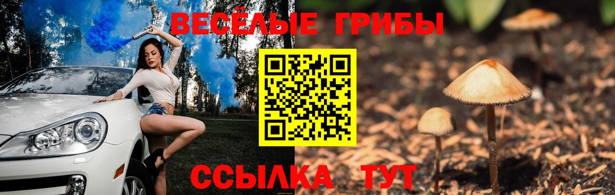 Анапа  Галлюциногенные грибы Psilocybine cubensis  Псилоцибиновые грибы Magic Shrooms  Вход с VPN 